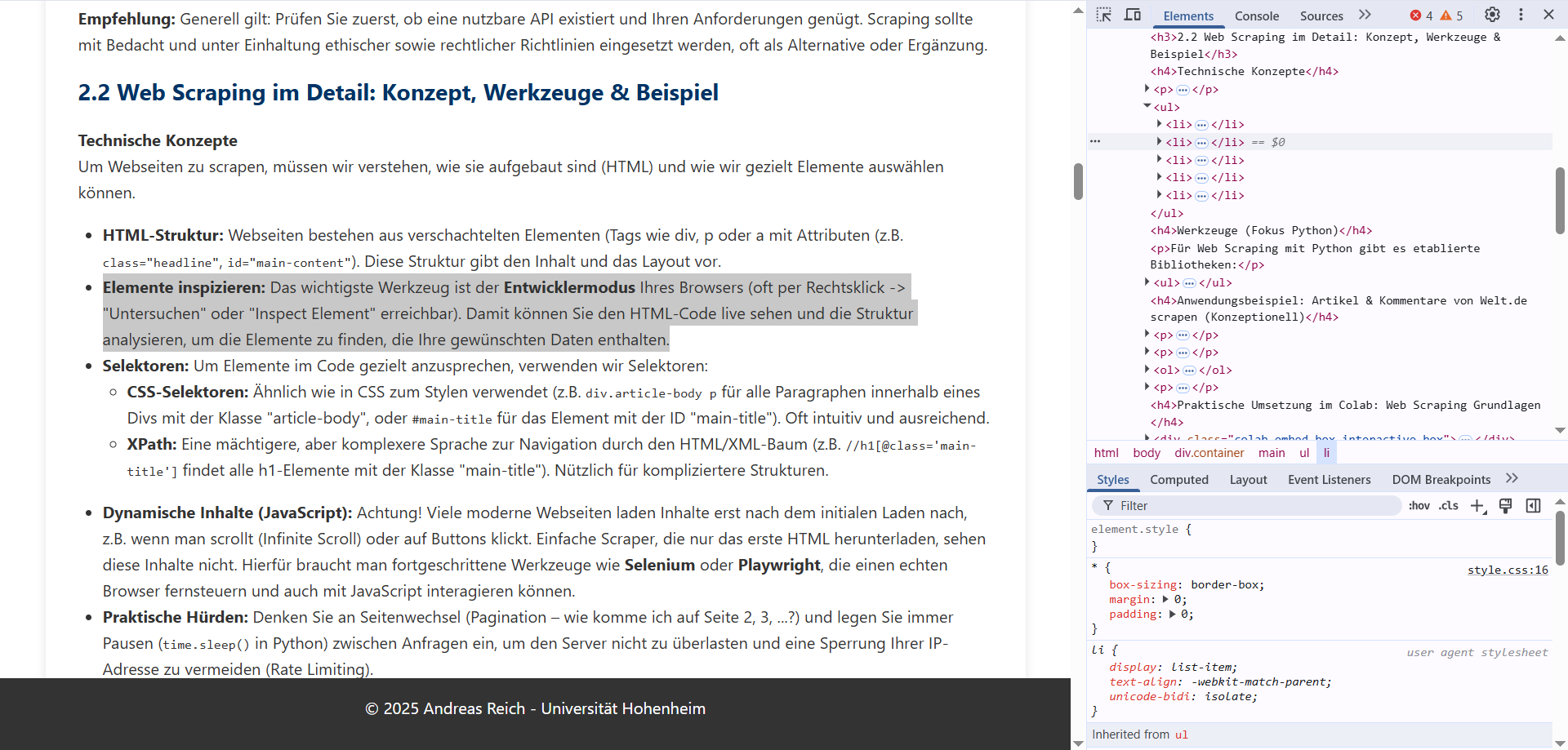 Geöffneter Entwicklermodus im Browser